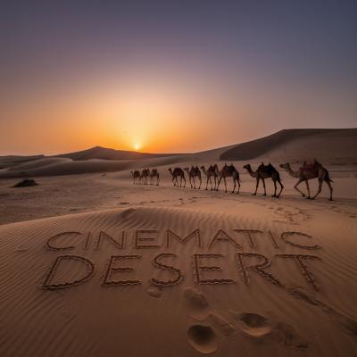 Cinematic Desert 4