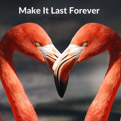 Make It Last Forever (instrumental)