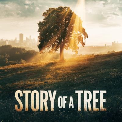 Story Of A Tree